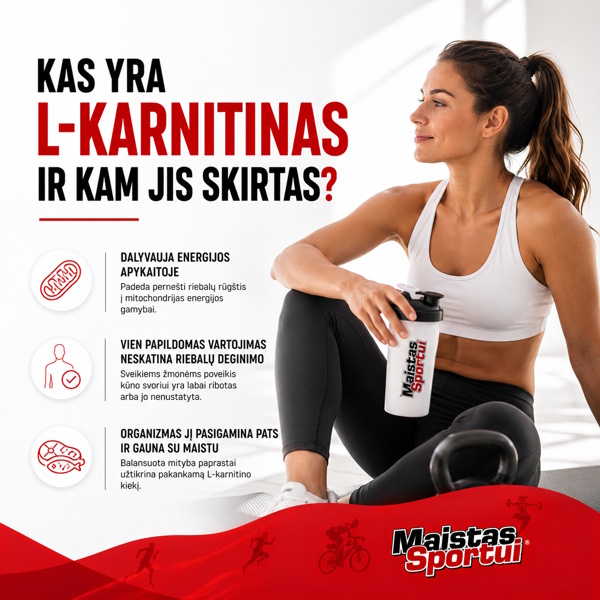Was ist L-Carnitin und wozu dient es? – Sporternährung